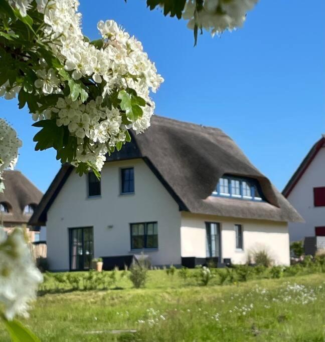 Stilvolles Reetdachhaus Coastline An Der Ostsee Groß Schwansee Exteriör bild