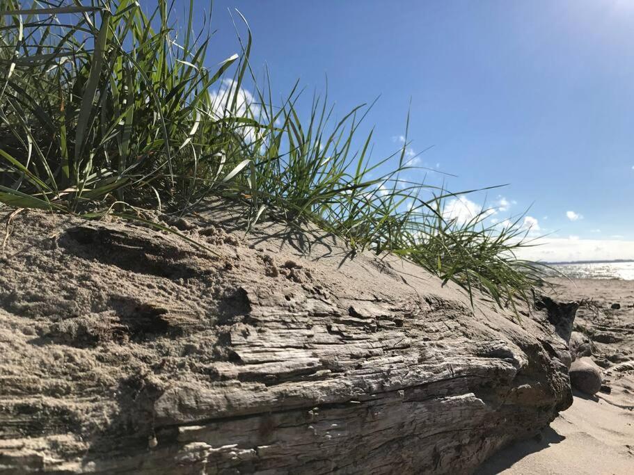 Stilvolles Reetdachhaus Coastline An Der Ostsee Groß Schwansee Exteriör bild